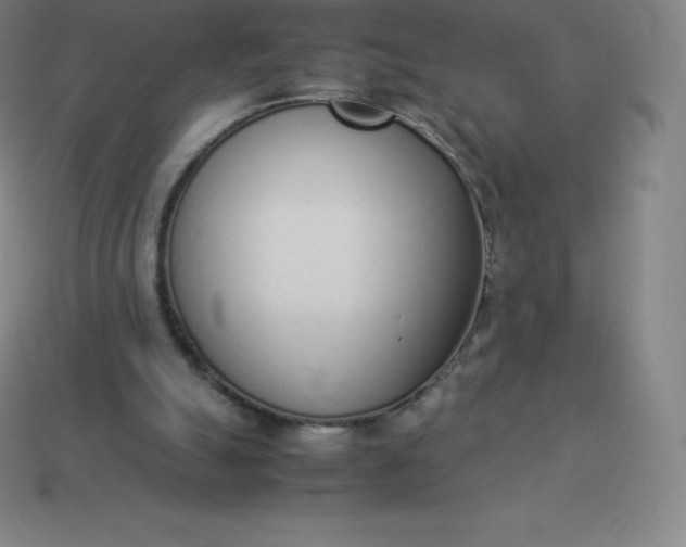 X0000113910055200910081858