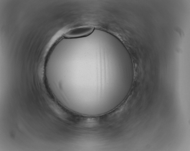 X0000113910056200910081858