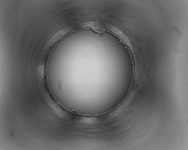 X0000113910057200910081858