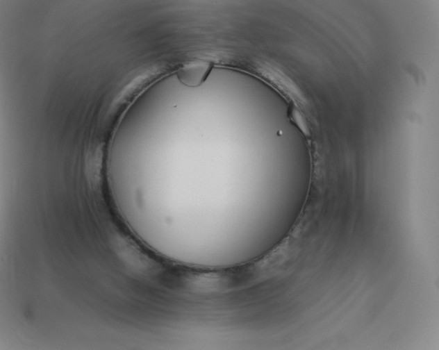 X0000113910058200910081858