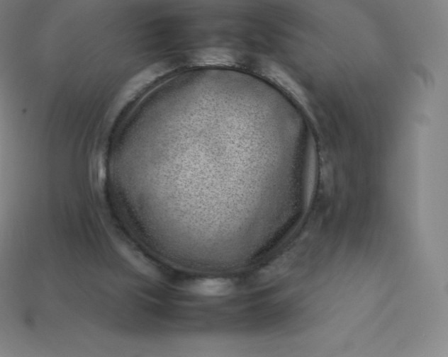 X0000113910059200910081858