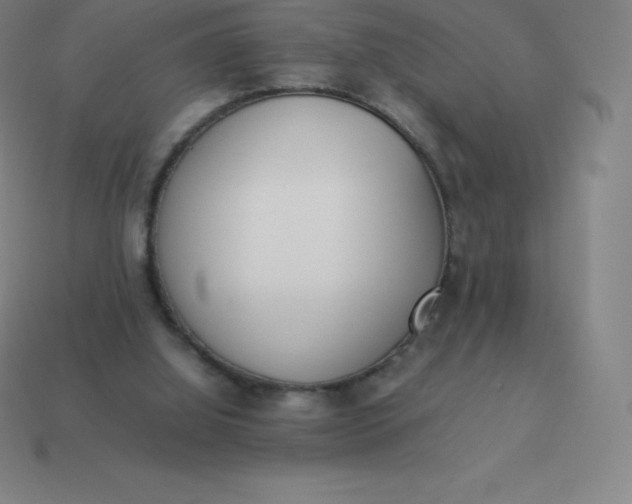 X0000113910060200910081858