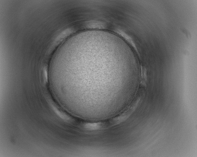 X0000113910061200910081858