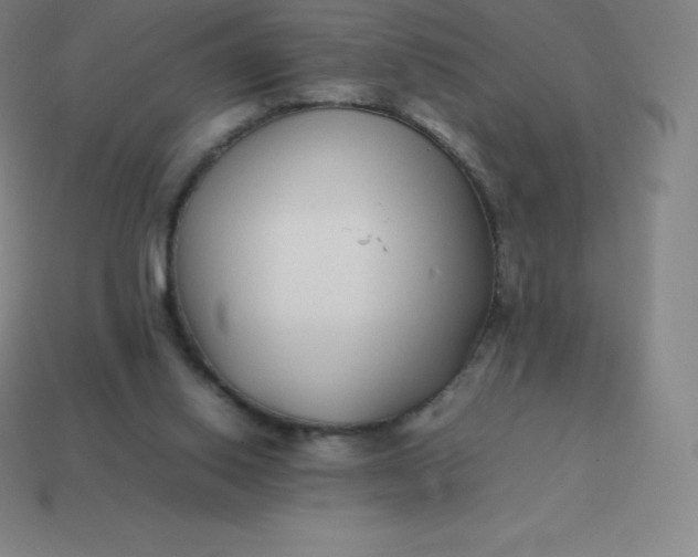 X0000113910062200910081858