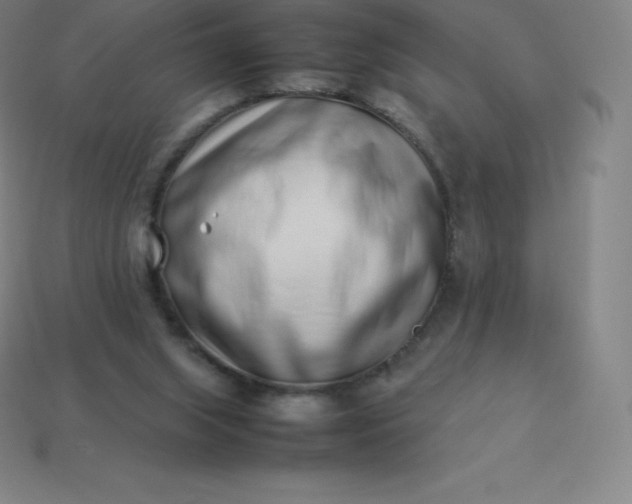 X0000113910063200910081858