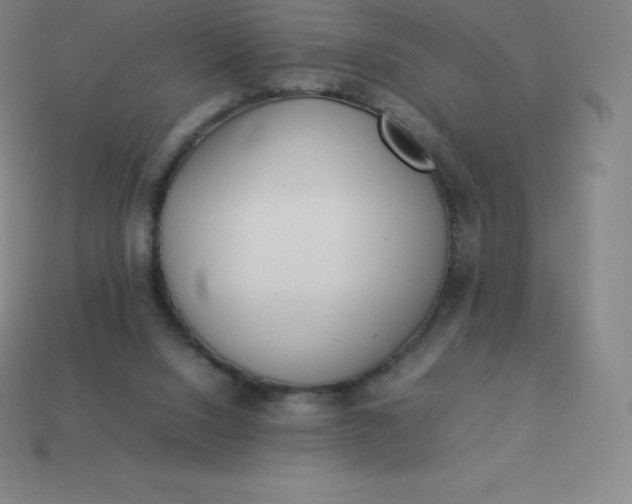 X0000113910064200910081858