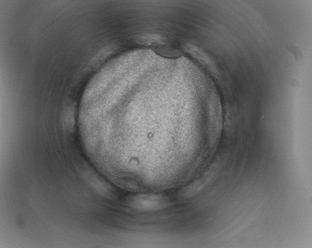 X0000113910065200910081858