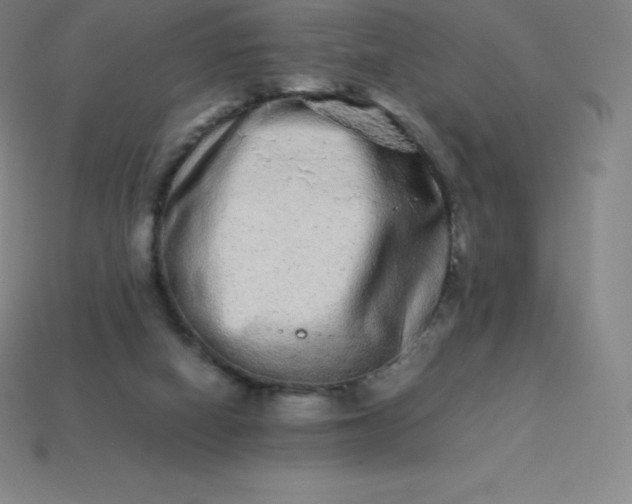 X0000113910066200910081858