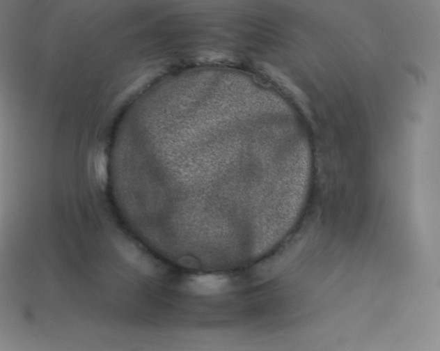 X0000113910067200910081858