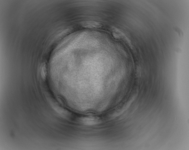 X0000113910069200910081858