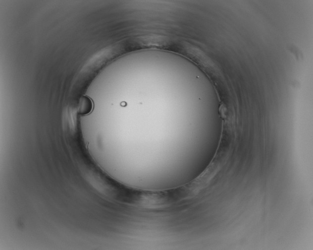 X0000113910070200910081858