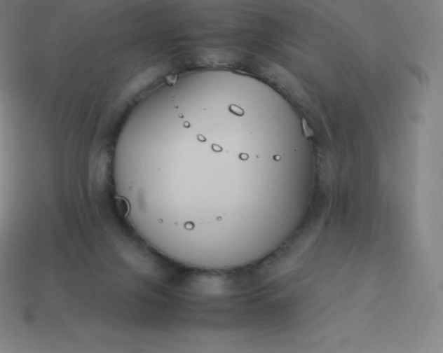 X0000113910071200910081858