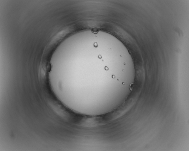 X0000113910072200910081858