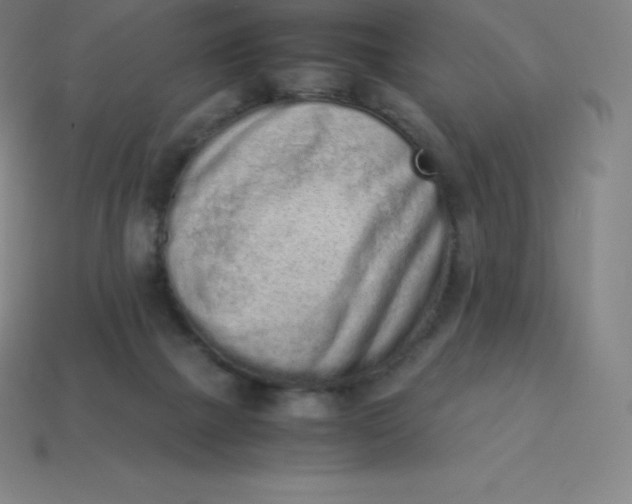 X0000113910073200910081858