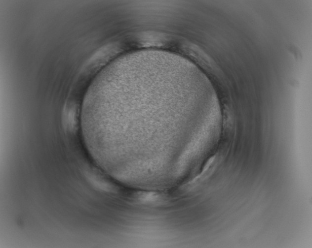 X0000113910074200910081858