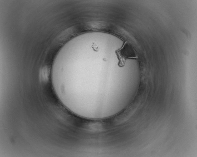 X0000113910075200910081858