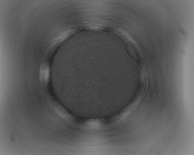 X0000113910076200910081859