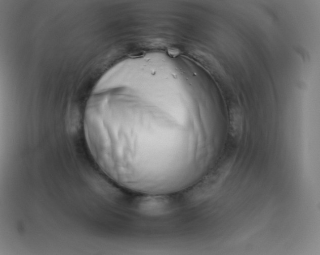 X0000113910077200910081859