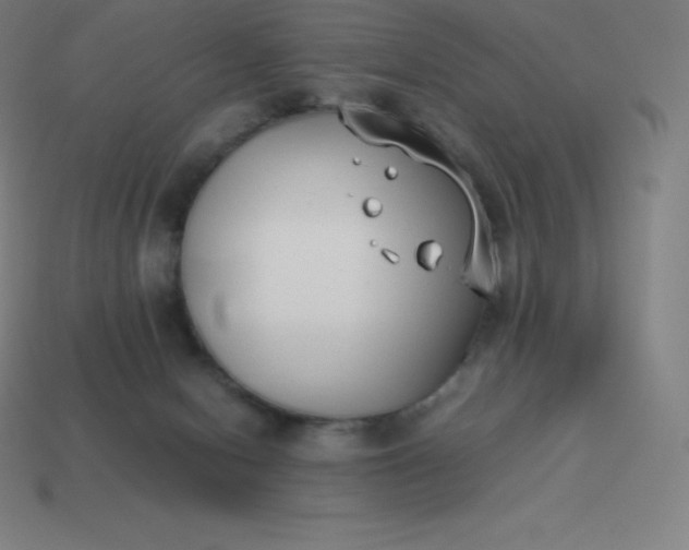 X0000113910078200910081859