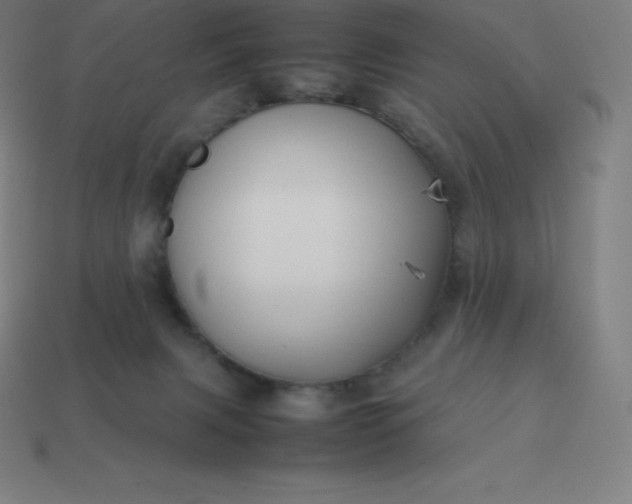 X0000113910079200910081859