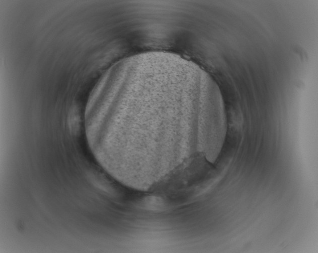 X0000113910080200910081859