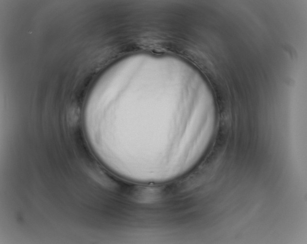 X0000113910081200910081859