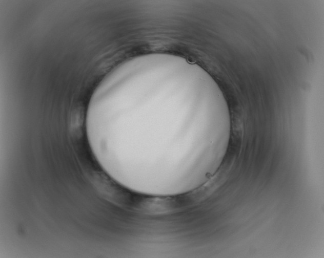 X0000113910082200910081859