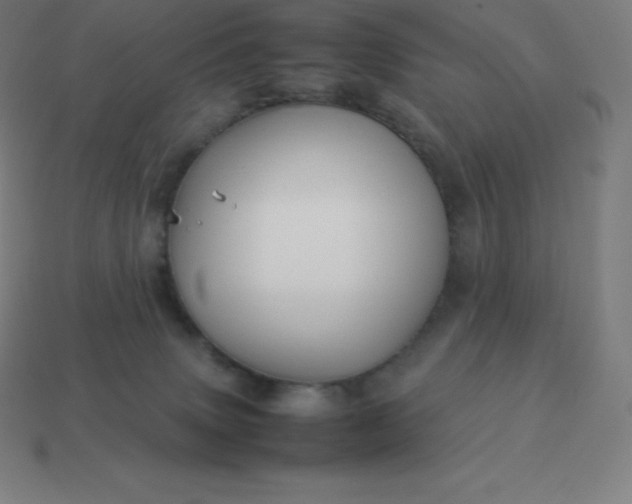 X0000113910083200910081859