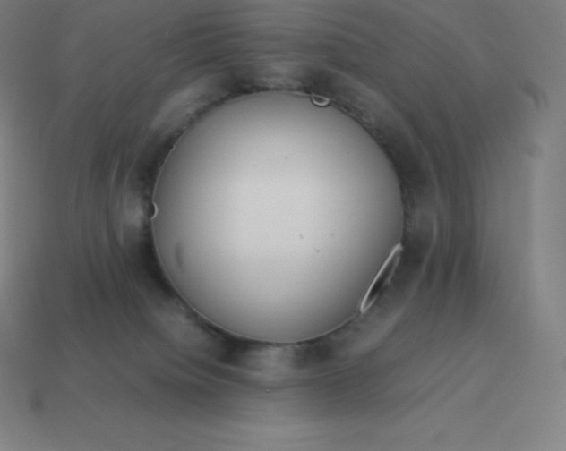 X0000113910084200910081859