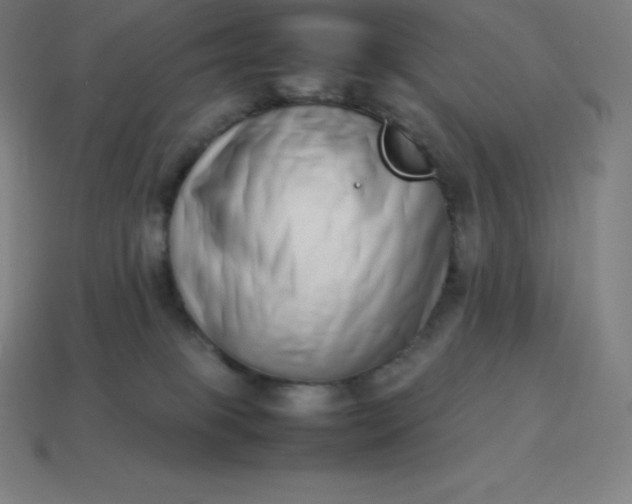 X0000113910085200910081859