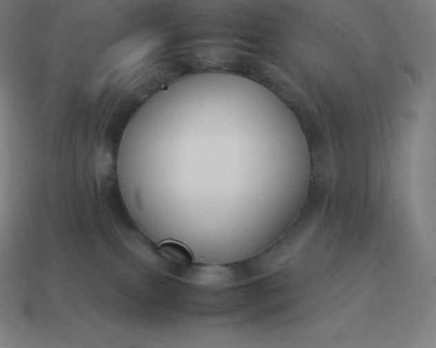 X0000113910087200910081859