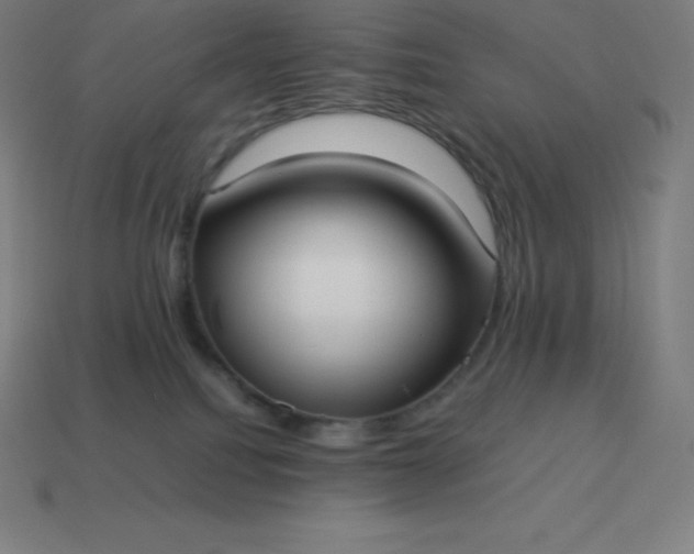 X0000113910088200910081859