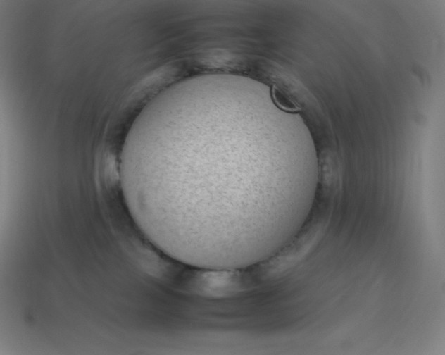 X0000113910089200910081859