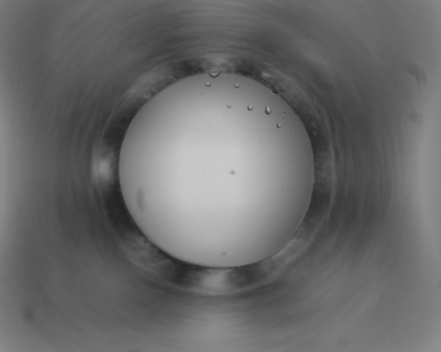 X0000113910090200910081859