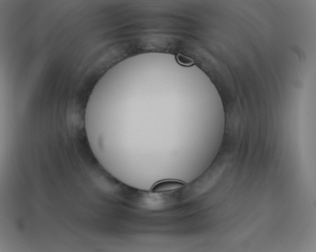 X0000113910091200910081859