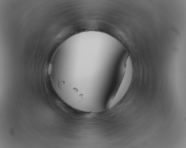 X0000113910092200910081859