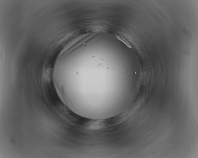 X0000113910093200910081859