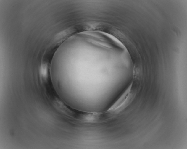 X0000113910094200910081859