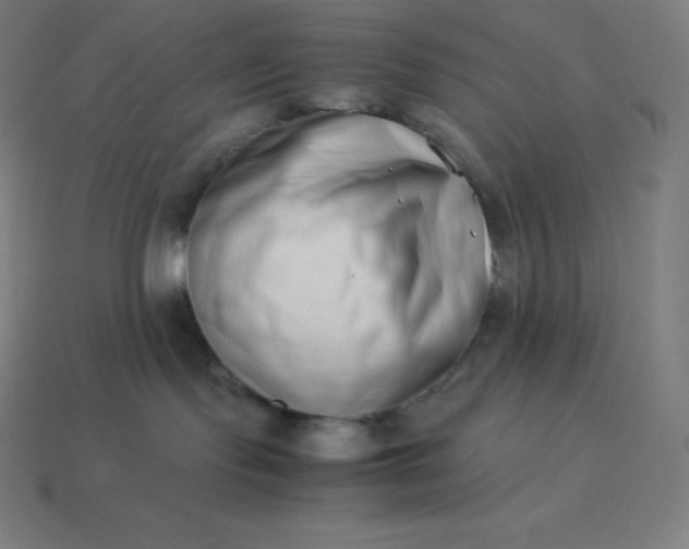 X0000113910095200910081859