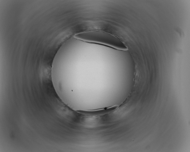 X0000113910096200910081859