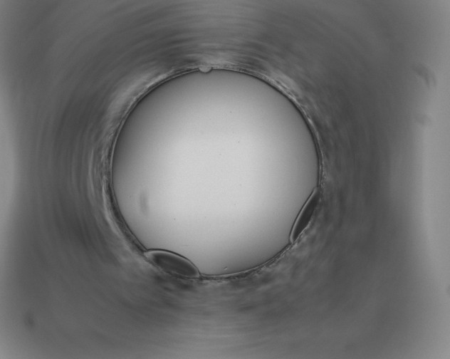 X0000113910097200910081858