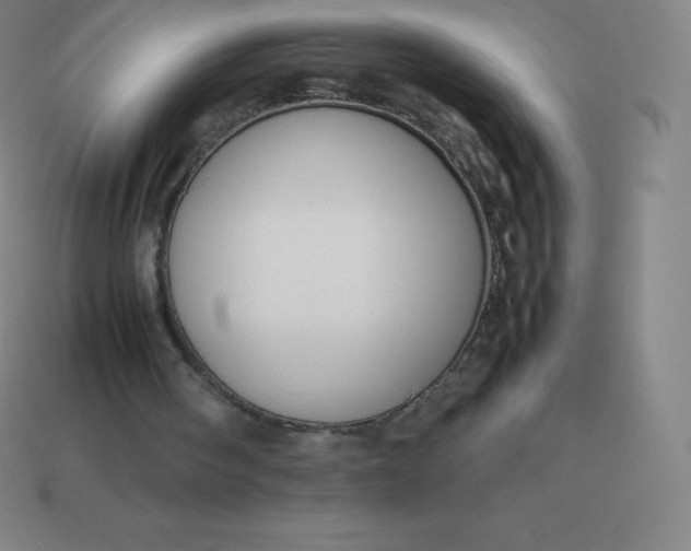 X0000113910098200910081858