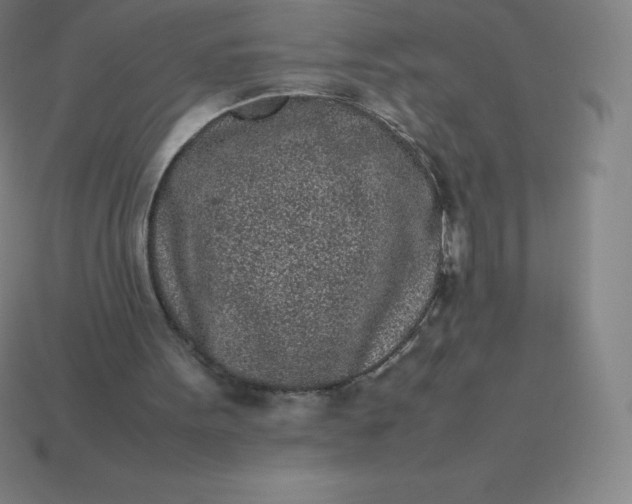 X0000113910099200910081858