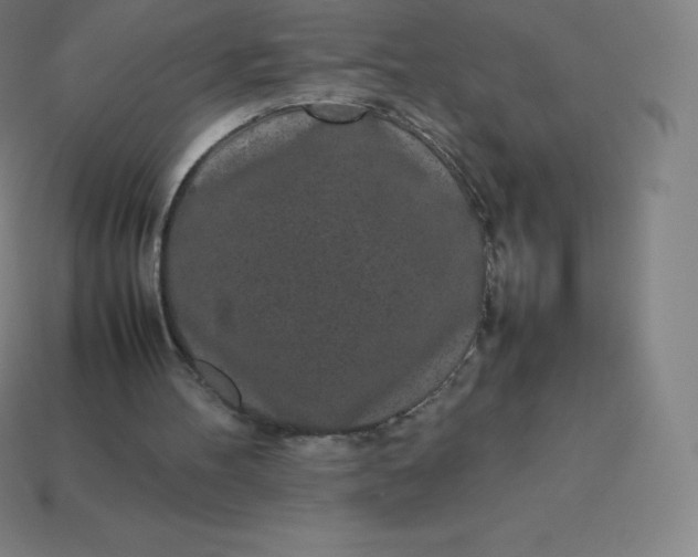 X0000113910100200910081858