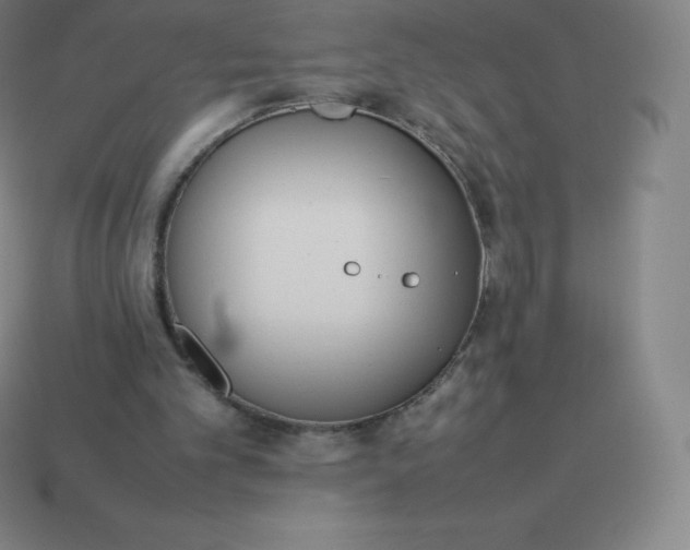 X0000113910101200910081858