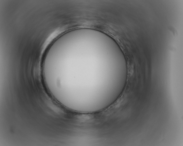 X0000113910102200910081858