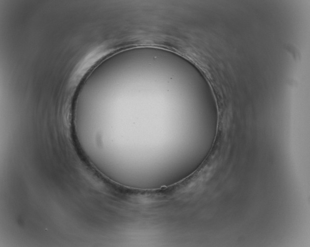 X0000113910103200910081858