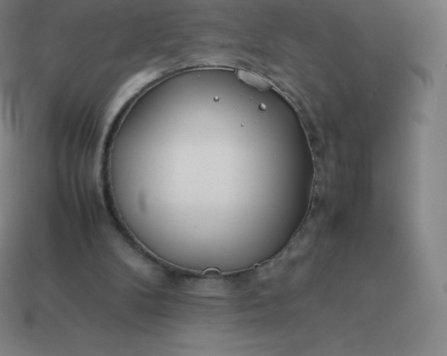 X0000113910104200910081858