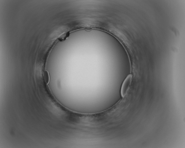 X0000113910105200910081858