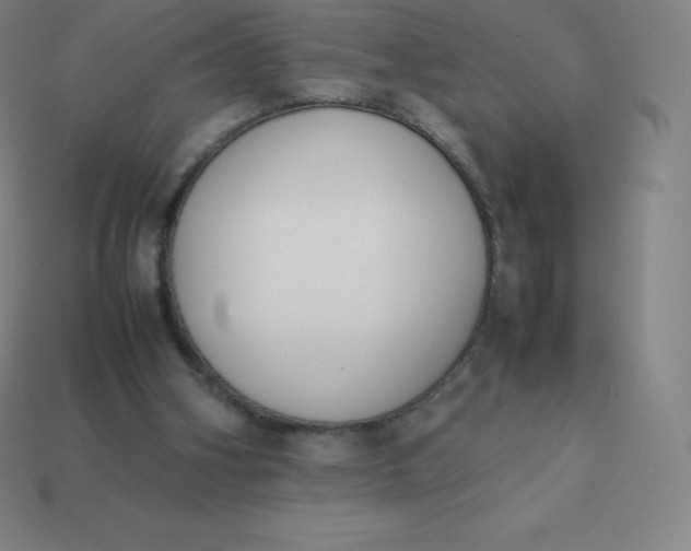 X0000113910106200910081858